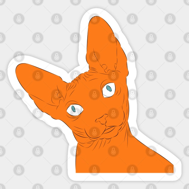 Orange sphynx cat discount